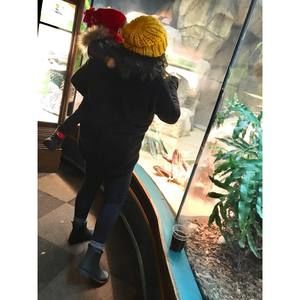 Meet your Posher, Sophie